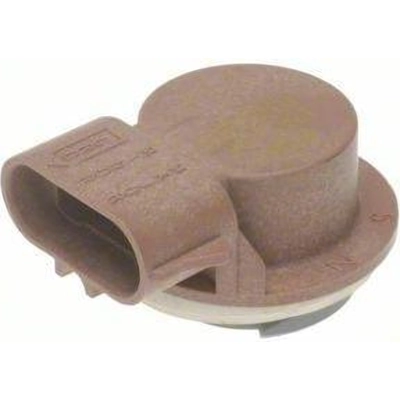 Tail Light Socket by BLUE STREAK (HYGRADE MOTOR) - S890 pa13