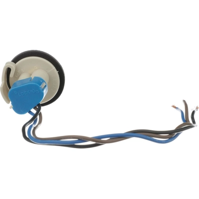 BWD AUTOMOTIVE - PT156 - Tail Lamp Socket pa4