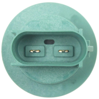BWD AUTOMOTIVE - PT5780 - Tail Lamp Socket pa1