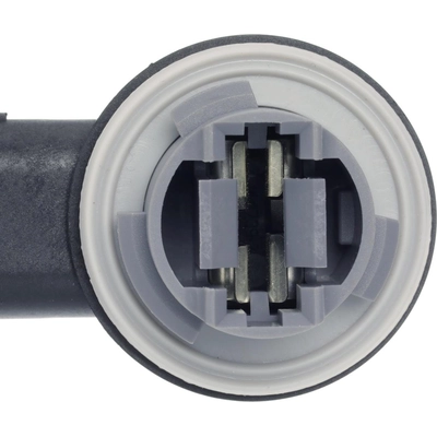 STANDARD - PRO SERIES - S2139 - Tail Lamp Socket pa5