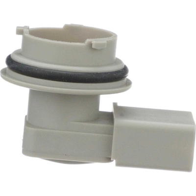 STANDARD - PRO SERIES - S2568 - Tail Light Socket pa6