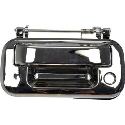 Tailgate Handle by DORMAN - 91076M pa1