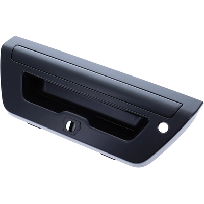 DORMAN/HELP - 15709 - Tailgate Handle pa1