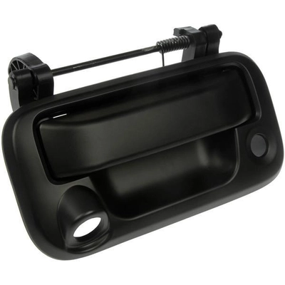 Tailgate Handle by DORMAN/HELP - 81078 pa1