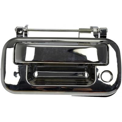DORMAN/HELP - 91076M - Tailgate Handle pa2