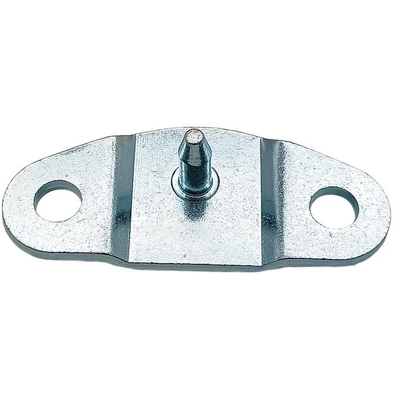 SKP - SK603558 - Tailgate Hinge pa1