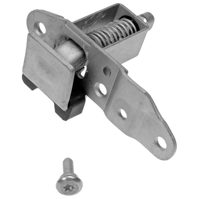 DORMAN - 38676 - Tailgate Latch Assembly pa1