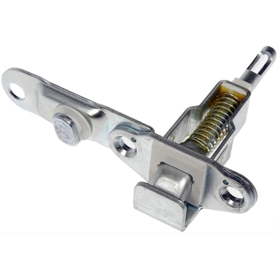 Tailgate Latch Assembly by DORMAN/HELP - 38728 pa1