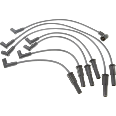 Tailored Resistor Ignition Wire Set by BLUE STREAK (HYGRADE MOTOR) - 26620 pa1