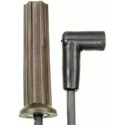 Tailored Resistor Ignition Wire Set by BLUE STREAK (HYGRADE MOTOR) - 27542 pa1