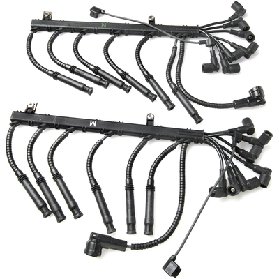 BLUE STREAK (HYGRADE MOTOR) - 29906 - Spark Plug Wire Set pa1