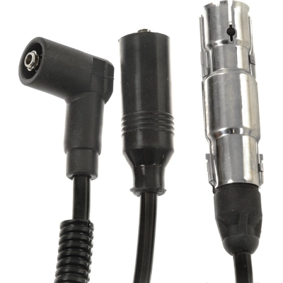 Tailored Resistor Ignition Wire Set by BLUE STREAK (HYGRADE MOTOR) - 55600 pa5