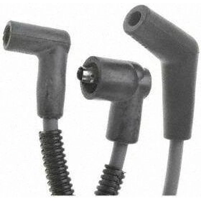 Tailored Resistor Ignition Wire Set by BLUE STREAK (HYGRADE MOTOR) - 6638 pa6