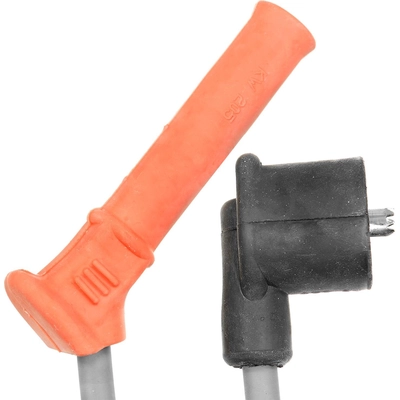 Tailored Resistor Ignition Wire Set by BLUE STREAK (HYGRADE MOTOR) - 6681 pa6