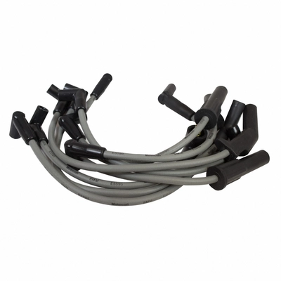 Ensemble de fil d'allumage de résistance sur mesure de MOTORCRAFT - WR4050 pa4