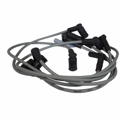 Ensemble de fil d'allumage de résistance sur mesure de MOTORCRAFT - WR6079 pa8