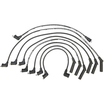 Tailored Resistor Ignition Wire Set by WALKER PRODUCTS - 924-1301 pa1