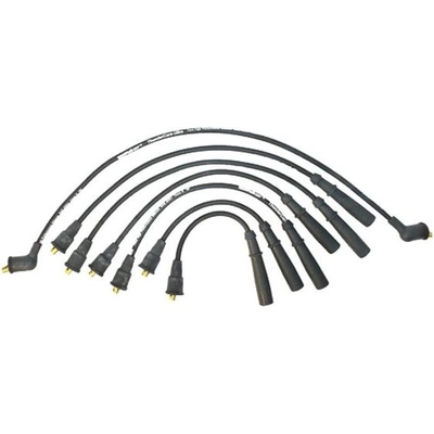 Tailored Resistor Ignition Wire Set by WALKER PRODUCTS - 924-1302 pa1