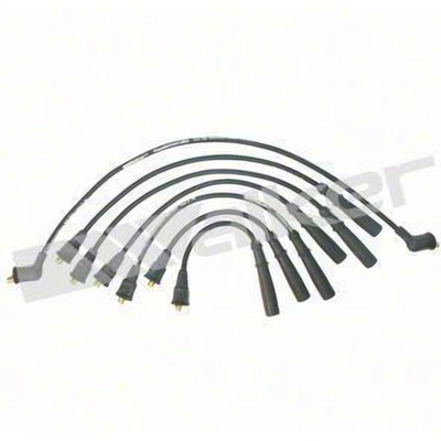 Tailored Resistor Ignition Wire Set by WALKER PRODUCTS - 924-1302 pa3