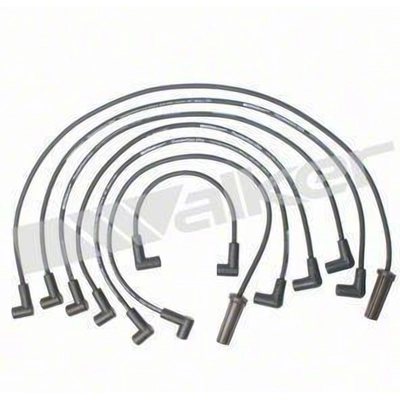 Tailored Resistor Ignition Wire Set by WALKER PRODUCTS - 924-1329 pa3