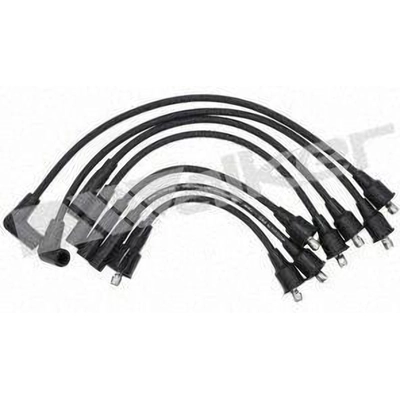 Tailored Resistor Ignition Wire Set by WALKER PRODUCTS - 924-1350 pa1