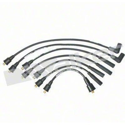Tailored Resistor Ignition Wire Set by WALKER PRODUCTS - 924-1350 pa2