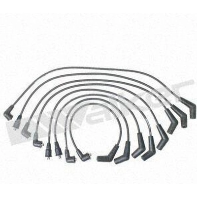 Tailored Resistor Ignition Wire Set by WALKER PRODUCTS - 924-1390 pa2