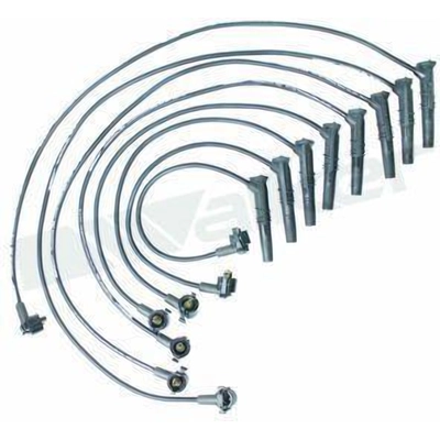 Tailored Resistor Ignition Wire Set by WALKER PRODUCTS - 924-1402 pa3