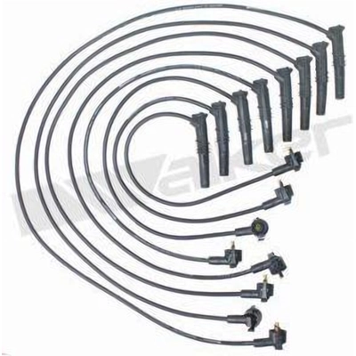 Tailored Resistor Ignition Wire Set by WALKER PRODUCTS - 924-1403 pa2