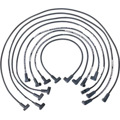 Tailored Resistor Ignition Wire Set by WALKER PRODUCTS - 924-1419 pa1
