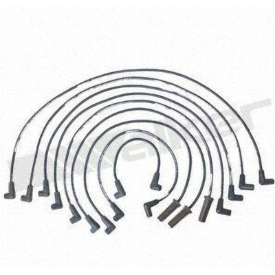 Tailored Resistor Ignition Wire Set by WALKER PRODUCTS - 924-1422 pa3