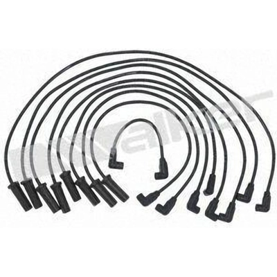 Tailored Resistor Ignition Wire Set by WALKER PRODUCTS - 924-1435 pa1