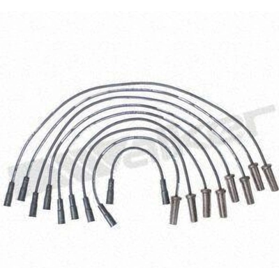 Tailored Resistor Ignition Wire Set by WALKER PRODUCTS - 924-1437 pa1