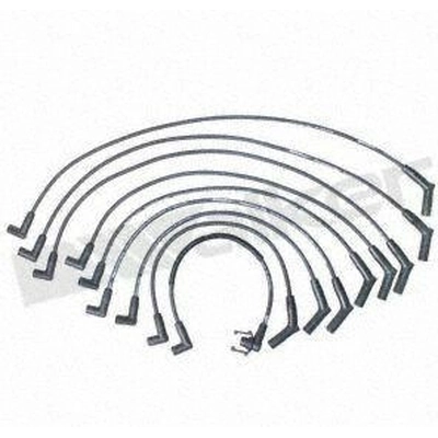 Tailored Resistor Ignition Wire Set by WALKER PRODUCTS - 924-1440 pa1