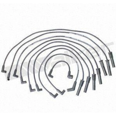 Tailored Resistor Ignition Wire Set by WALKER PRODUCTS - 924-1442 pa2