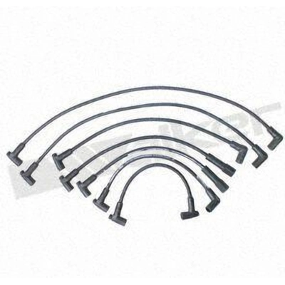 Tailored Resistor Ignition Wire Set by WALKER PRODUCTS - 924-1509 pa1