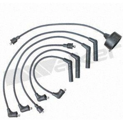 Tailored Resistor Ignition Wire Set by WALKER PRODUCTS - 924-1645 pa1