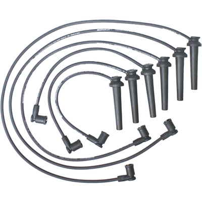 Tailored Resistor Ignition Wire Set by WALKER PRODUCTS - 924-1689 pa1