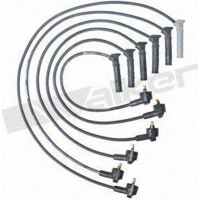 Tailored Resistor Ignition Wire Set by WALKER PRODUCTS - 924-1938 pa1