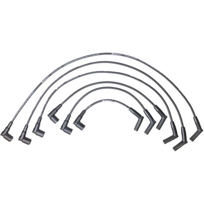 Tailored Resistor Ignition Wire Set by WALKER PRODUCTS - 924-2001 pa2