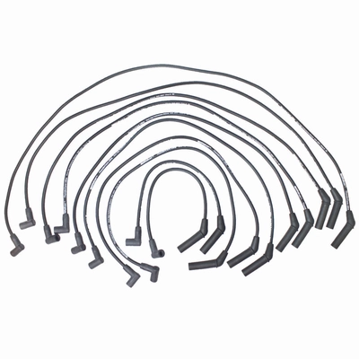 WALKER PRODUCTS - 924-2024 - Spark Plug Wire Set pa1