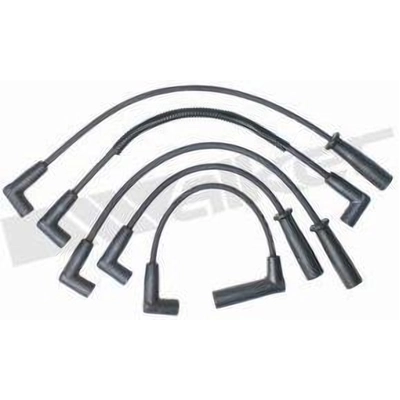 Tailored Resistor Ignition Wire Set by WALKER PRODUCTS - 924-2025 pa2