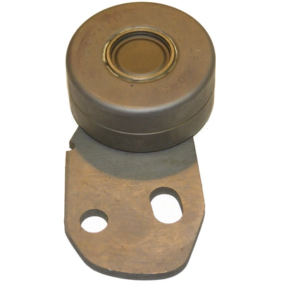 CLOYES GEAR INC - 9-5019 - Engine Timing Belt Tensioner pa1