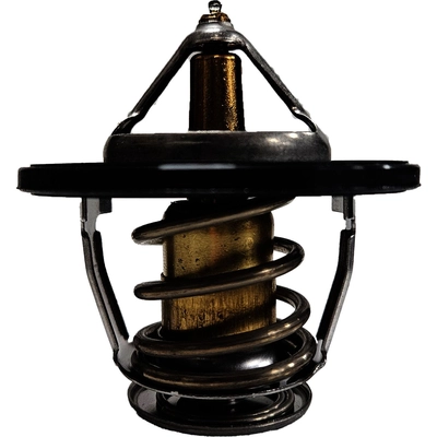 Thermostat by CALORSTAT AUTOMOTIVE - TH6297.66J pa1