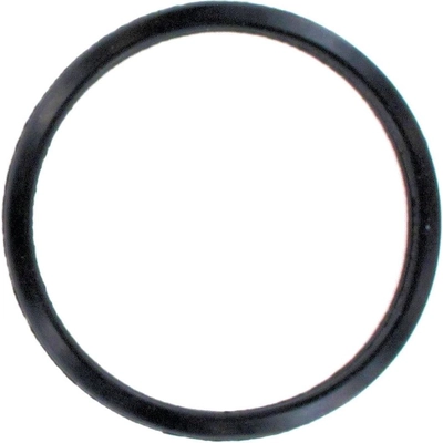 Thermostat Seal by APEX AUTOMOBILE PARTS - AWO2047 pa1