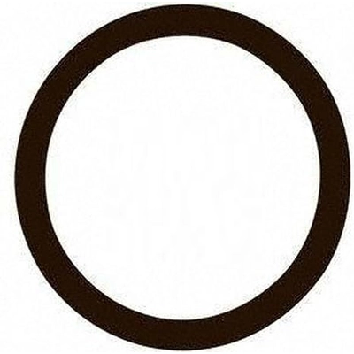 STANT - 25281 - Thermostat Seal pa1