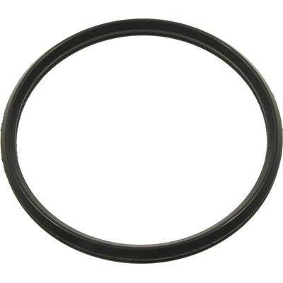 Throttle Body Base Gasket by BLUE STREAK (HYGRADE MOTOR) - FJG147 pa3