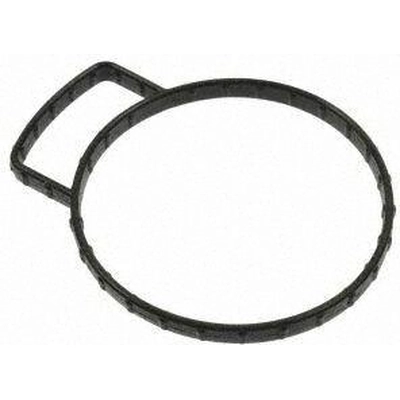 Throttle Body Base Gasket by BLUE STREAK (HYGRADE MOTOR) - FJG167 pa2