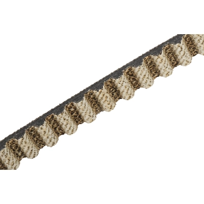 Timing Belt by ACDELCO - 55493234 pa2