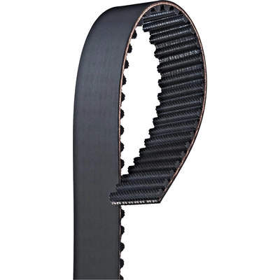 Timing Belt by ACDELCO PROFESSIONAL - TB304 pa1